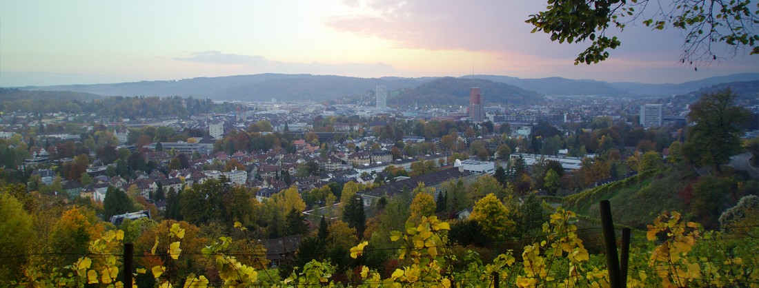 Dr. Willi Richter, Kardiologe, Herzspezialist, bietet ganzheitliche Abklärungen und Behandlungen sämtlicher Herzerkrankungen in seiner Praxis in Winterthur.
